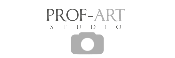 Логотип компании PROF-ART STUDIO