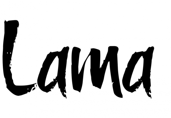 Логотип компании LAMA