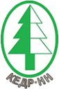 Логотип компании Кедр-НН