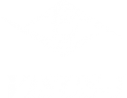 Логотип компании Визус-1