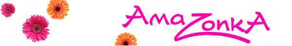 Логотип компании AmaZonka