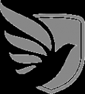 Логотип компании Региональный диагностический центр