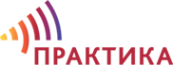 Логотип компании Практика Нины Зверевой