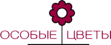Логотип компании Особые цветы