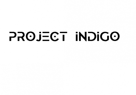Логотип компании PROJECT INDIGO