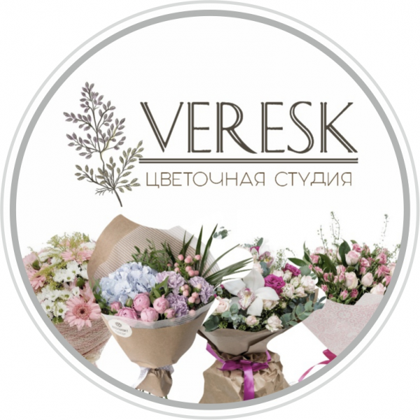 Логотип компании ВЕРЕСК