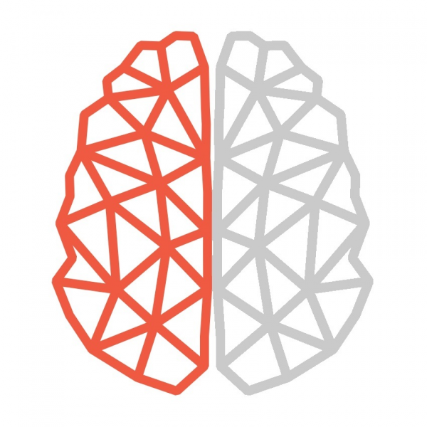 Логотип компании Braiz - Академия компьютерных наук