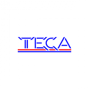 Логотип компании ТЕСА
