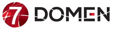 Логотип компании 7domen