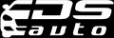 Логотип компании DS-AUTO