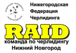 Логотип компании Raid