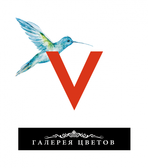 Логотип компании Галерея Цветов V