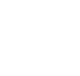 Логотип компании Voilok