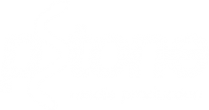 Логотип компании P-tone