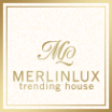 Логотип компании Merlin-Lux