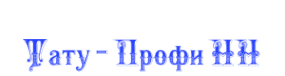 Логотип компании Тату-профинн