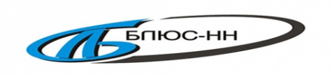 Логотип компании Блюс-НН