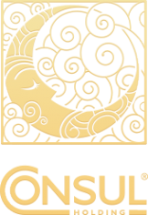 Логотип компании КОНСУЛ
