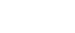 Логотип компании Euphoria