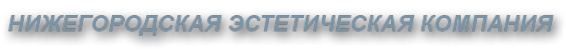 Логотип компании Эстетик НН