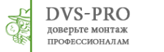Логотип компании Dvs-Pro