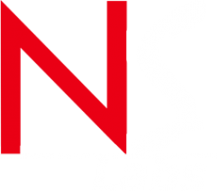 Логотип компании NS Labs