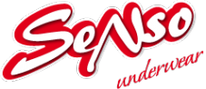 Логотип компании СенсоТекс