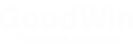 Логотип компании Гудвин