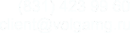 Логотип компании Volga Marketing Group