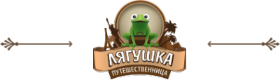 Логотип компании Лягушка Путешественница