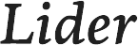 Логотип компании LIDER