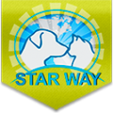 Логотип компании Star way