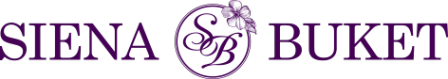 Логотип компании Siena buket