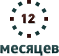 Логотип компании 12 месяцев