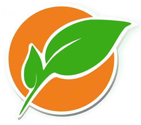 Логотип компании ГЕОСЕРВИС